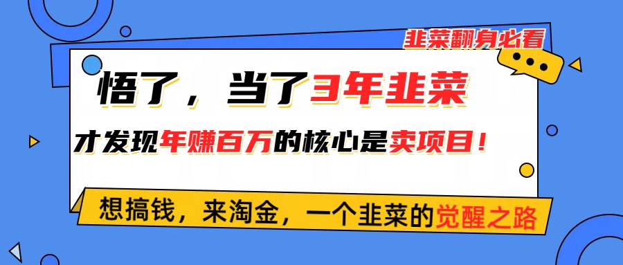 悟了，当了3年韭菜，才发现网赚圈年赚100万的核心是卖项目，含泪分享！创鑫阁-网创项目资源站-副业项目-创业项目-搞钱项目创鑫阁