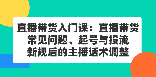 直播带货入门课：直播带货常见问题、起号与投流、新规后的主播话术调整创鑫阁-网创项目资源站-副业项目-创业项目-搞钱项目创鑫阁