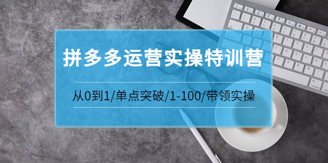 拼多多运营实操特训营：从0到1/单点突破/1-100/带领实操 价值2980元创鑫阁-网创项目资源站-副业项目-创业项目-搞钱项目创鑫阁