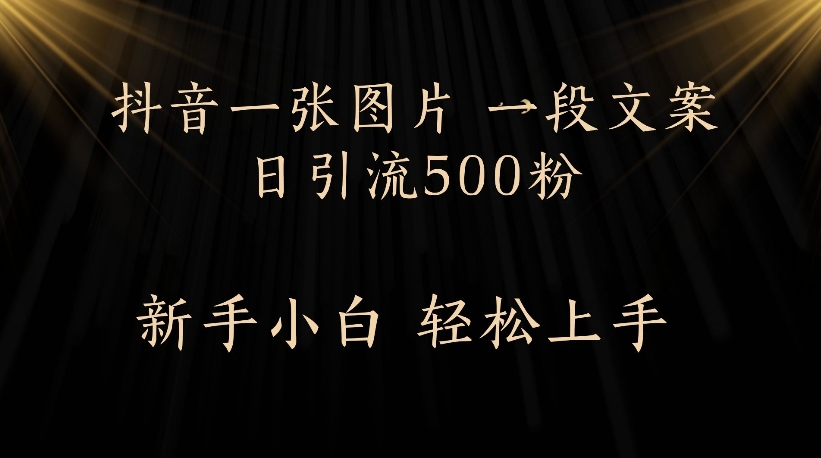 抖音一张图片，一段文案日引流500粉，新手小白 轻松上手创鑫阁-网创项目资源站-副业项目-创业项目-搞钱项目创鑫阁