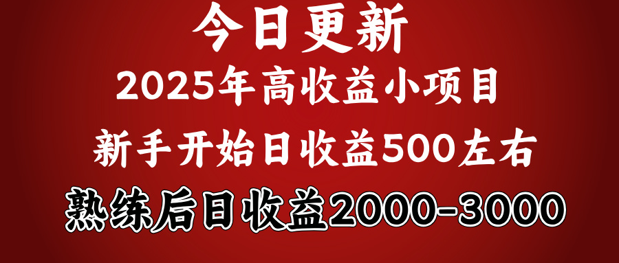 好项目一眼就能看出来，日收益1000，长久可做，2025拼的就是我比你勤奋创鑫阁-网创项目资源站-副业项目-创业项目-搞钱项目创鑫阁