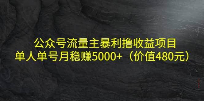 公众号流量主暴利撸收益项目，单人单号月稳赚5000+（价值480元）创鑫阁-网创项目资源站-副业项目-创业项目-搞钱项目创鑫阁