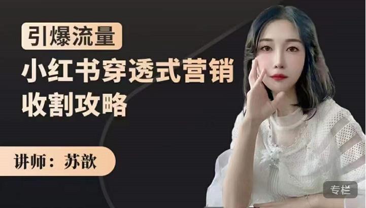 小红书穿透式营销收割攻略，引爆流量，助你玩转小红书创鑫阁-网创项目资源站-副业项目-创业项目-搞钱项目创鑫阁