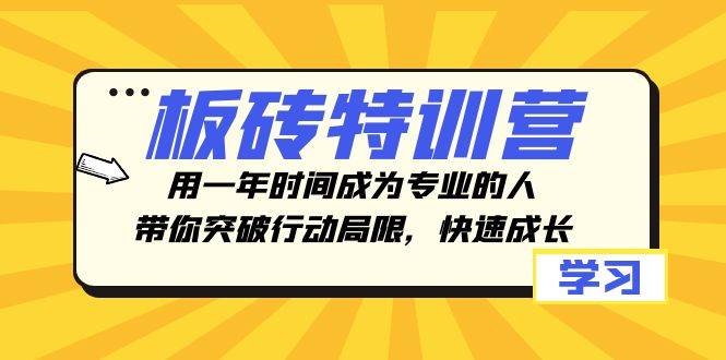 板砖特训营，用一年时间成为专业的人，带你突破行动局限，快速成长创鑫阁-网创项目资源站-副业项目-创业项目-搞钱项目创鑫阁