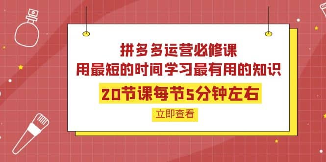 拼多多运营必修课：20节课每节5分钟左右，用最短的时间学习最有用的知识创鑫阁-网创项目资源站-副业项目-创业项目-搞钱项目创鑫阁