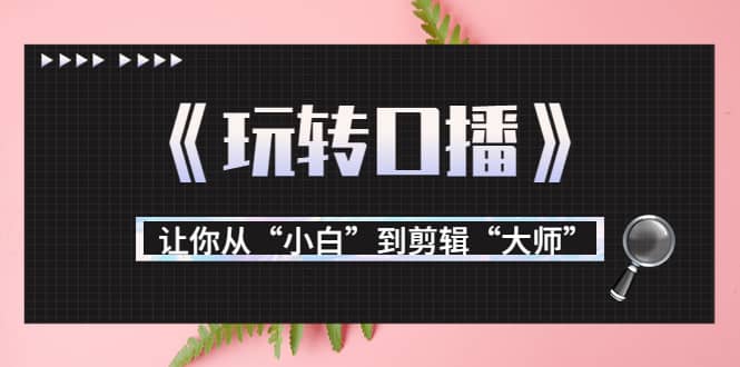 月营业额700万+大佬教您《玩转口播》让你从“小白”到剪辑“大师”创鑫阁-网创项目资源站-副业项目-创业项目-搞钱项目创鑫阁