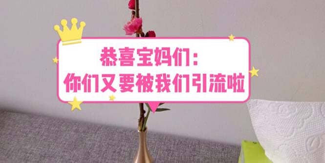 恭喜宝妈们：你们又要被我们引流了（教程+222g资料）创鑫阁-网创项目资源站-副业项目-创业项目-搞钱项目创鑫阁