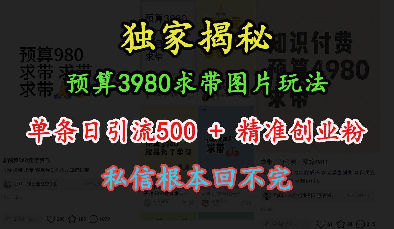 “小红书”预算3980求带 图片玩法，单条日引流500+精准创业粉，私信根本回不完创鑫阁-网创项目资源站-副业项目-创业项目-搞钱项目创鑫阁