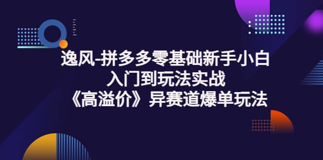 拼多多零基础新手小白入门到玩法实战《高溢价》异赛道爆单玩法实操课创鑫阁-网创项目资源站-副业项目-创业项目-搞钱项目创鑫阁