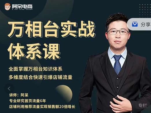 阿呆-万相台实战体系课，帮您全面掌握万相台知识体系创鑫阁-网创项目资源站-副业项目-创业项目-搞钱项目创鑫阁
