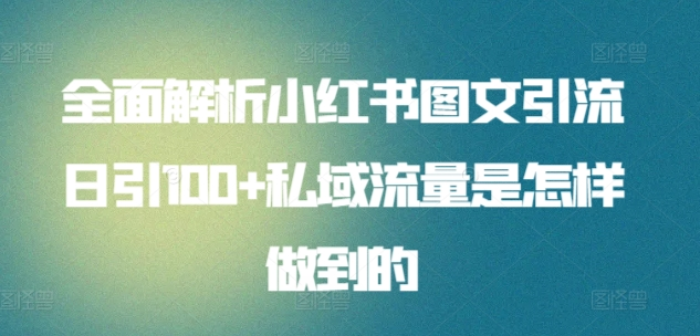 全面解析小红书图文引流日引100私域流量是怎样做到的创鑫阁-网创项目资源站-副业项目-创业项目-搞钱项目创鑫阁