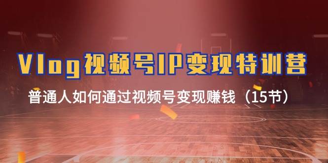 Vlog 视频号IP变现特训营，普通人如何通过视频号变现赚钱（15节）创鑫阁-网创项目资源站-副业项目-创业项目-搞钱项目创鑫阁