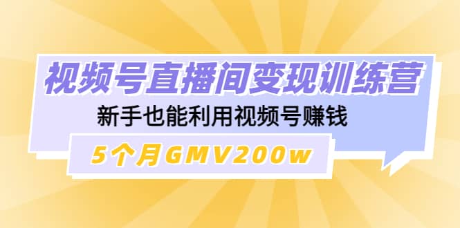 视频号直播间变现训练营创鑫阁-网创项目资源站-副业项目-创业项目-搞钱项目创鑫阁