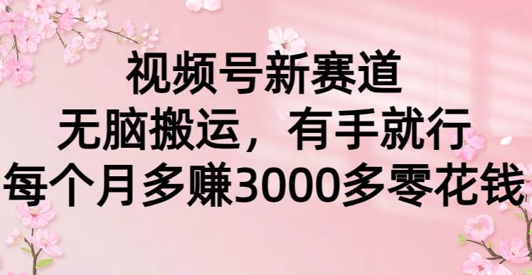 视频号新赛道，无脑搬运，有手就行，每个月多赚3000多零花钱创鑫阁-网创项目资源站-副业项目-创业项目-搞钱项目创鑫阁