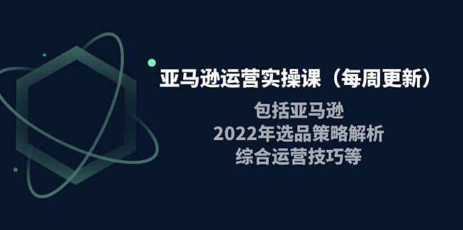亚马逊运营实操课（每周更新）包括亚马逊2022选品策略解析，综合运营技巧等创鑫阁-网创项目资源站-副业项目-创业项目-搞钱项目创鑫阁