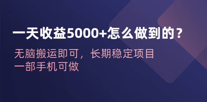 一天收益5000+怎么做到的？无脑搬运即可，长期稳定项目，一部手机可做创鑫阁-网创项目资源站-副业项目-创业项目-搞钱项目创鑫阁