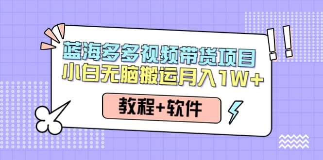 人人都能操作的蓝海多多视频带货项目 小白无脑搬运（教程+软件）创鑫阁-网创项目资源站-副业项目-创业项目-搞钱项目创鑫阁