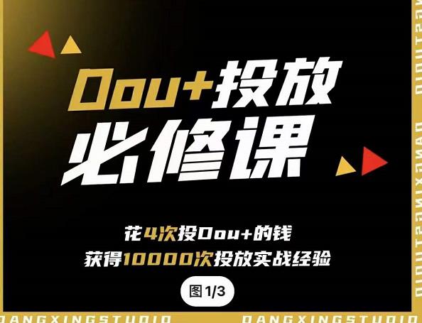 代同学DOU+投放训练营，用付费流量撬动大额自然流量，过得超额变现转化创鑫阁-网创项目资源站-副业项目-创业项目-搞钱项目创鑫阁