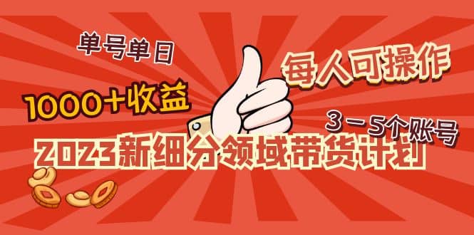 2023新细分领域带货计划：单号单日1000+收益不难，每人可操作3-5个账号创鑫阁-网创项目资源站-副业项目-创业项目-搞钱项目创鑫阁