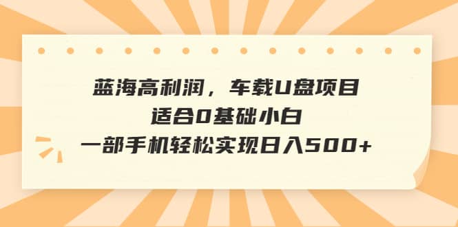 蓝海高利润,车载U盘项目,适合0基础小白,一部手机轻松实现日入500+创鑫阁-网创项目资源站-副业项目-创业项目-搞钱项目创鑫阁