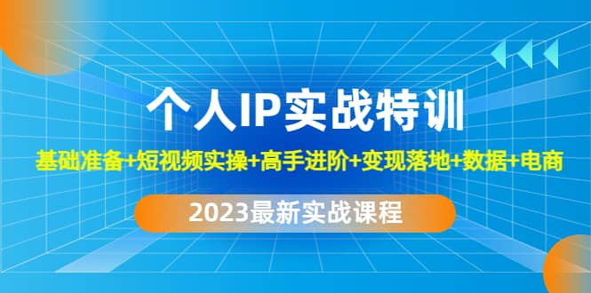 2023个人IP实战特训：基础准备+短视频实操+高手进阶+变现落地+数据+电商创鑫阁-网创项目资源站-副业项目-创业项目-搞钱项目创鑫阁