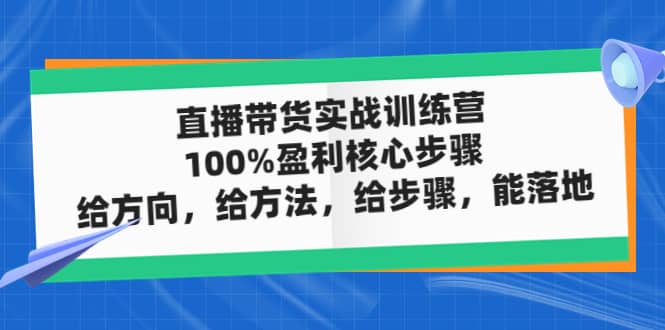 直播带货实战训练营：100%盈利核心步骤，给方向，给方法，给步骤，能落地创鑫阁-网创项目资源站-副业项目-创业项目-搞钱项目创鑫阁