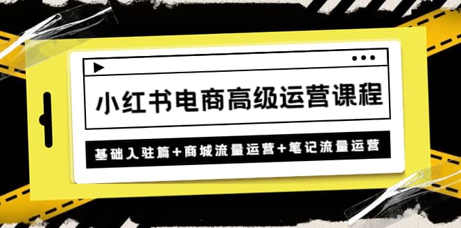 小红书电商高级运营课程：基础入驻篇+商城流量运营+笔记流量运营创鑫阁-网创项目资源站-副业项目-创业项目-搞钱项目创鑫阁