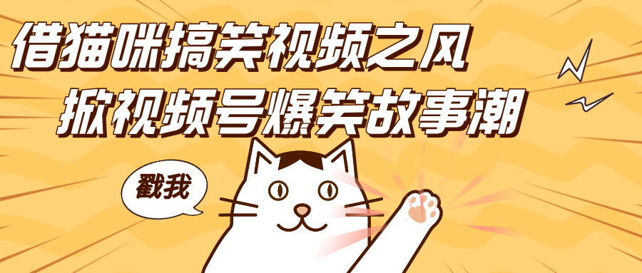 借猫咪搞笑视频之风，掀视频号爆笑故事潮，轻松日赚四位数，开启无门槛赚钱新体验！创鑫阁-网创项目资源站-副业项目-创业项目-搞钱项目创鑫阁
