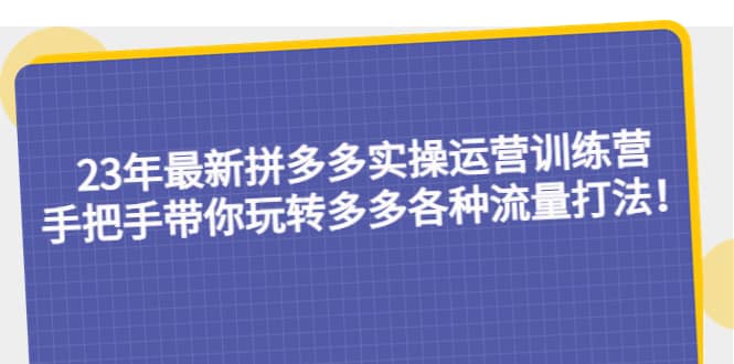 23年最新拼多多实操运营训练营：手把手带你玩转多多各种流量打法！创鑫阁-网创项目资源站-副业项目-创业项目-搞钱项目创鑫阁