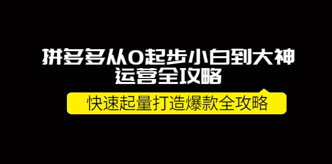 拼多多从0起步小白到大神运营全攻略创鑫阁-网创项目资源站-副业项目-创业项目-搞钱项目创鑫阁