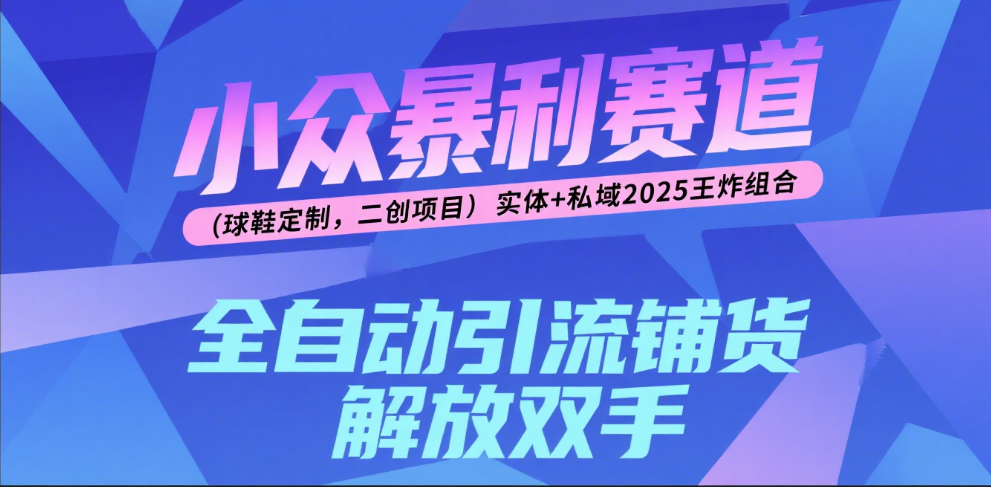 楠—小众暴利赛道（球鞋定制，二创项目）实体+私域2025王炸组合创鑫阁-网创项目资源站-副业项目-创业项目-搞钱项目创鑫阁