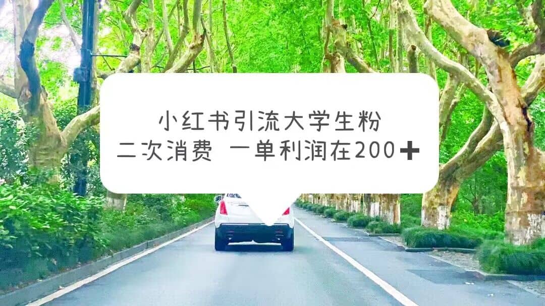 小红书引流大学生粉，变现项目，一单利润在200+（教程+资源）创鑫阁-网创项目资源站-副业项目-创业项目-搞钱项目创鑫阁