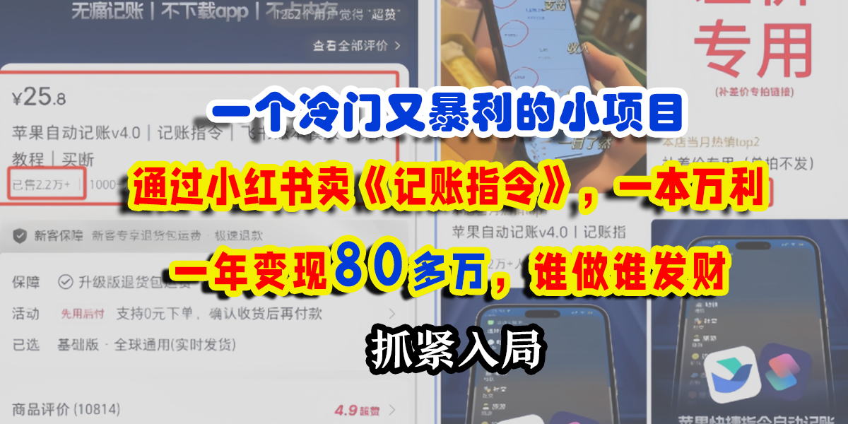 一个冷门又暴利的小项目，通过小红书卖《记账指令》，一本万利，一年变现80多万，谁做谁发财创鑫阁-网创项目资源站-副业项目-创业项目-搞钱项目创鑫阁