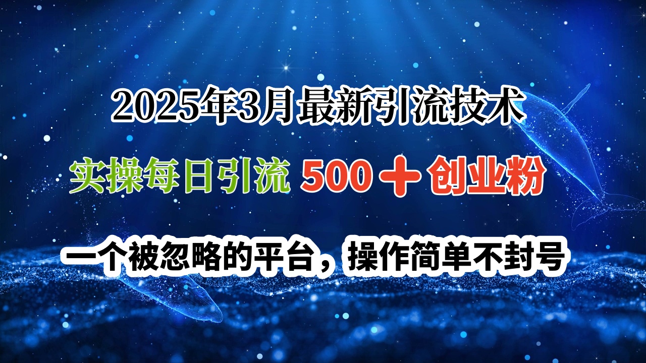2025年3月最新引流技术，实操每日引流500➕创业粉，一个被忽略的平台，操作简单不封号创鑫阁-网创项目资源站-副业项目-创业项目-搞钱项目创鑫阁