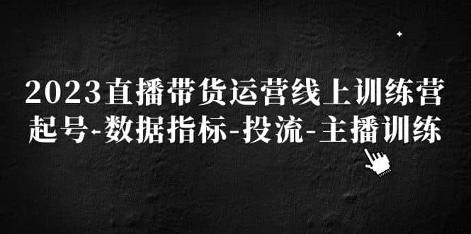2023直播带货运营线上训练营，起号-数据指标-投流-主播训练创鑫阁-网创项目资源站-副业项目-创业项目-搞钱项目创鑫阁
