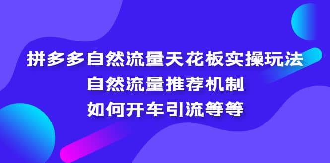 拼多多自然流量天花板实操玩法：自然流量推荐机制，如何开车引流等等创鑫阁-网创项目资源站-副业项目-创业项目-搞钱项目创鑫阁