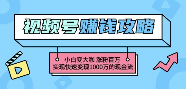 玩转微信视频号赚钱：小白变大咖涨粉百万实现快速变现1000万的现金流创鑫阁-网创项目资源站-副业项目-创业项目-搞钱项目创鑫阁