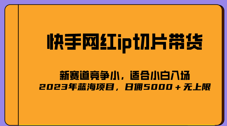 2023爆火的快手网红IP切片，号称日佣5000＋的蓝海项目，二驴的独家授权创鑫阁-网创项目资源站-副业项目-创业项目-搞钱项目创鑫阁