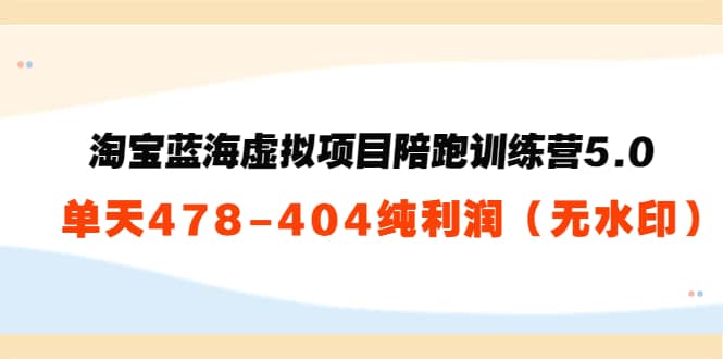 淘宝蓝海虚拟项目陪跑训练营5.0：单天478纯利润（无水印）创鑫阁-网创项目资源站-副业项目-创业项目-搞钱项目创鑫阁