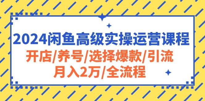 2024闲鱼高级实操运营课程：开店/养号/选择爆款/引流/月入2万/全流程创鑫阁-网创项目资源站-副业项目-创业项目-搞钱项目创鑫阁