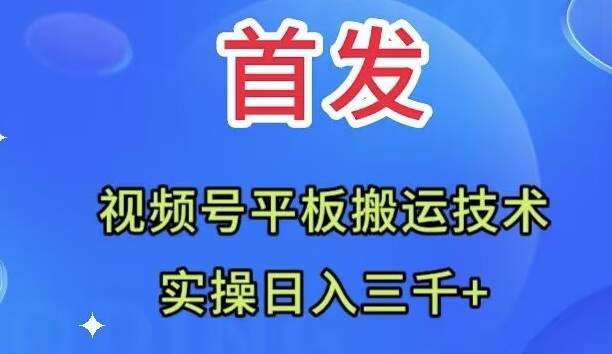 全网首发：视频号平板搬运技术，实操日入三千＋创鑫阁-网创项目资源站-副业项目-创业项目-搞钱项目创鑫阁