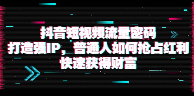 抖音短视频流量密码：打造强IP，普通人如何抢占红利，快速获得财富创鑫阁-网创项目资源站-副业项目-创业项目-搞钱项目创鑫阁