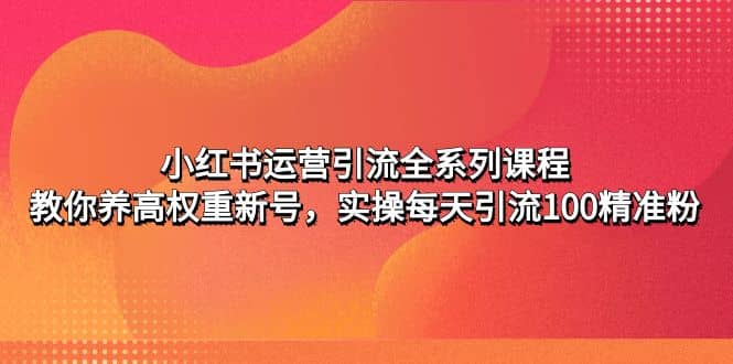 小红书运营引流全系列课程：教你养高权重新号创鑫阁-网创项目资源站-副业项目-创业项目-搞钱项目创鑫阁