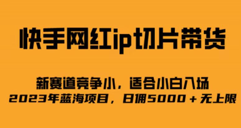 快手网红ip切片新赛道，竞争小事，适合小白 2023蓝海项目创鑫阁-网创项目资源站-副业项目-创业项目-搞钱项目创鑫阁