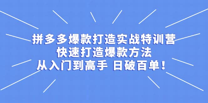 拼多多爆款打造实战特训营：快速打造爆款方法，从入门到高手 日破百单创鑫阁-网创项目资源站-副业项目-创业项目-搞钱项目创鑫阁