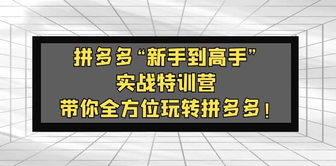 拼多多“新手到高手”实战特训营：带你全方位玩转拼多多创鑫阁-网创项目资源站-副业项目-创业项目-搞钱项目创鑫阁
