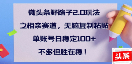 全网首发微头条野路子2.0玩法之相亲赛道，无脑搬砖复制粘贴，单账号日稳定300+保姆级教程创鑫阁-网创项目资源站-副业项目-创业项目-搞钱项目创鑫阁