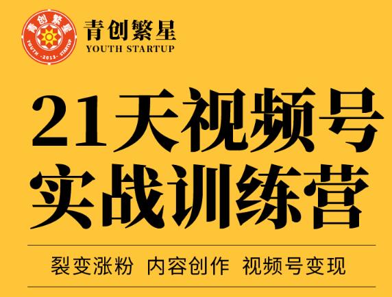 张萌21天视频号实战训练营，裂变涨粉、内容创作、视频号变现 价值298元创鑫阁-网创项目资源站-副业项目-创业项目-搞钱项目创鑫阁