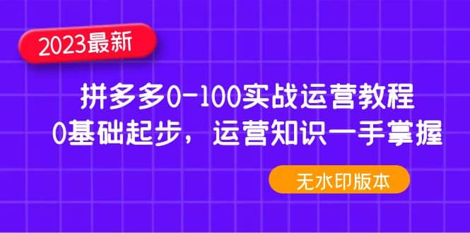 2023拼多多0-100实战运营教程，0基础起步，运营知识一手掌握（无水印）创鑫阁-网创项目资源站-副业项目-创业项目-搞钱项目创鑫阁
