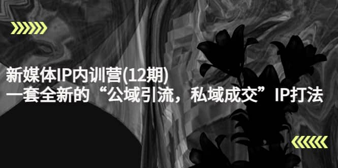 新媒体IP内训营(12期)，一套全新的“公域引流，私域成交”IP打法，直接带走创鑫阁-网创项目资源站-副业项目-创业项目-搞钱项目创鑫阁